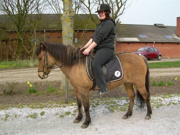 Islænder Kveikja  - Mig og småkagen:-)  billede 13