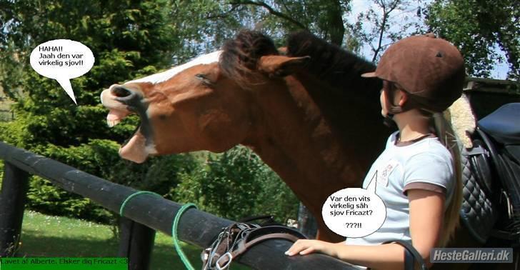 New Forest Firfod Fricazt - Frigge og Alberte. :) billede 10