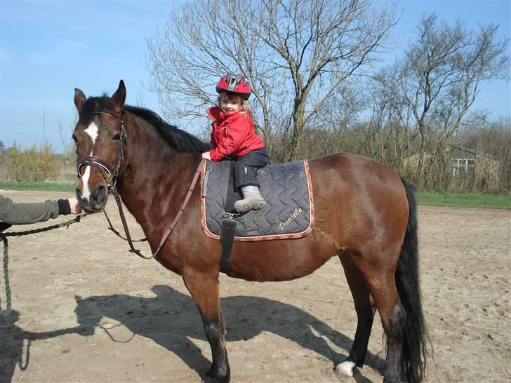 Anden særlig race Daniella - Himmelhest 21.nov. 2012 - Min lille niece på 3½ år og Daniella.. billede 20