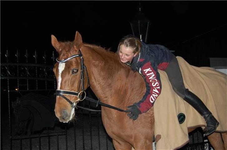 Dansk Varmblod Vikjærsvangs Minelli - Bregnerødgaard ved Astrid Gemal marts 2009 billede 10