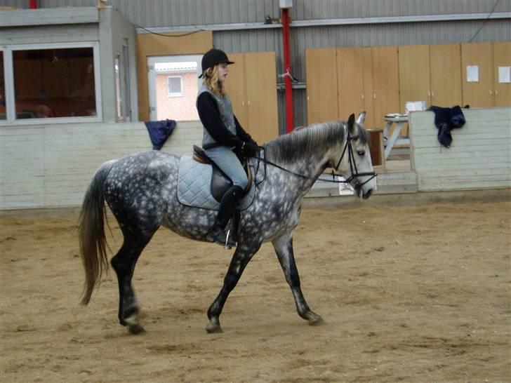 Anden særlig race Beauty - R.I.P. 30.7.2009 billede 10