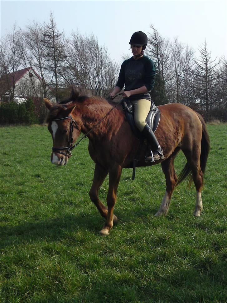 Anden særlig race Kiaya - Den alt for fine dame, og Jessica... Første gang i natur!! billede 12