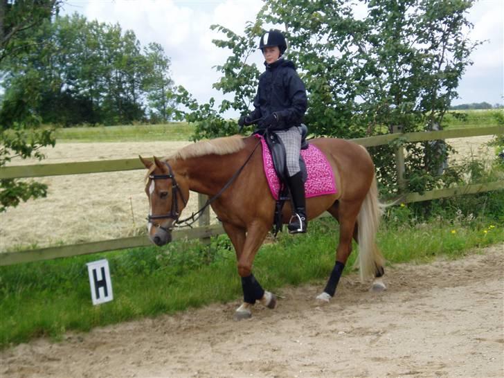 Anden særlig race Stella Af Toftlundgaard<3 - så slutter vi af for denne gang.. ses.. læg gerne bedømmelse.  billede 20