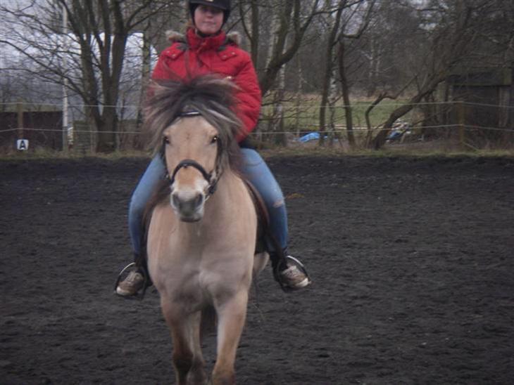 {{currentPhoto.altText}} billede {{currentPhoto.number}}