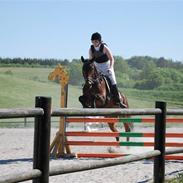 Anden særlig race Niclas *part*