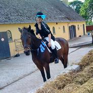 Anden særlig race Niclas *part*