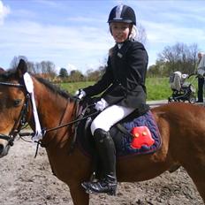 Anden særlig race lucas