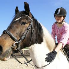 Anden særlig race  Thais'son *solgt*