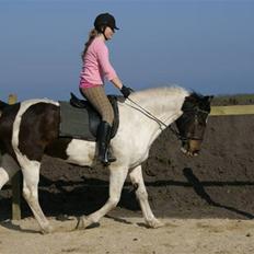 Anden særlig race  Thais'son *solgt*