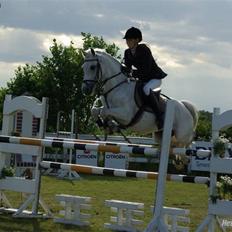 DSP STAR {b-pony}