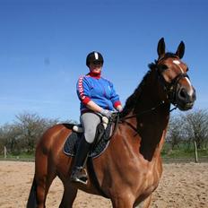 Holstener C-Hightower Højgård