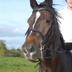 Holstener Clarissa R.I.P elsker dig