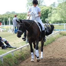 Holstener Clarissa R.I.P elsker dig