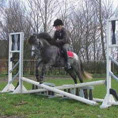 Anden særlig race Søgårdens mr. kebab mix