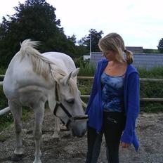 Anden særlig race Pacha Rex Arabi