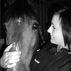 Anden særlig race Til minde om Erasmus Montanus 