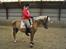 Haflinger Bosse *EUR* - Bosse og jeg i en parade. Forår 10 Foto: Stine L