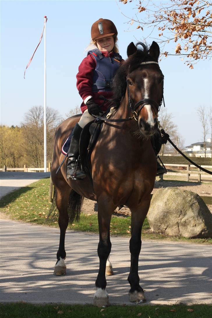Anden særlig race Palle - TIL SOLGT - Jubii så er Palle flyttet ind på Petersborg, Påsken 2009 billede 6