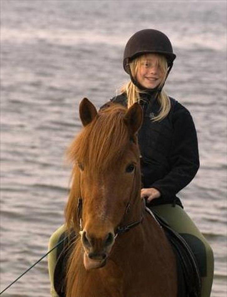 Islænder Toke |I Miss You| - Ved Seden Strand. - Fotograf Michael Jensen. billede 4