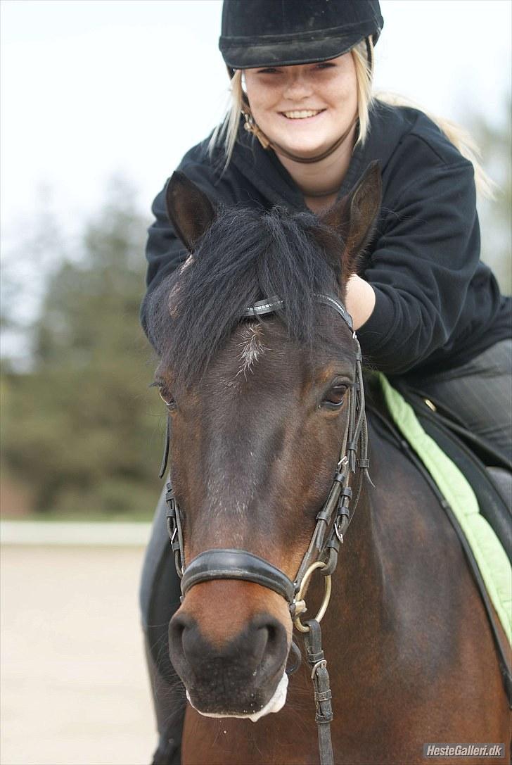 Anden særlig race Håkon - verdens smukkeste hovede.<3   //fotoMB// billede 13