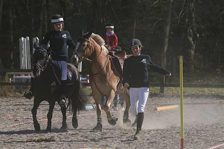 Haflinger Kong Fu - d. 20-04-09 ponygamesstævne på Jonstrupgaard Laura & mig i hulahopring legen Foto: Nathia TAKTAK! billede 19