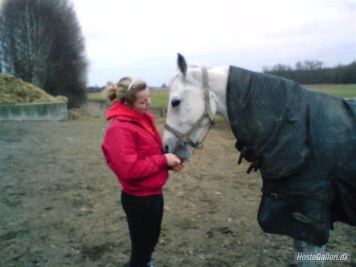 Fuldblod (XX) Silver Moon 1997-2009 billede 9