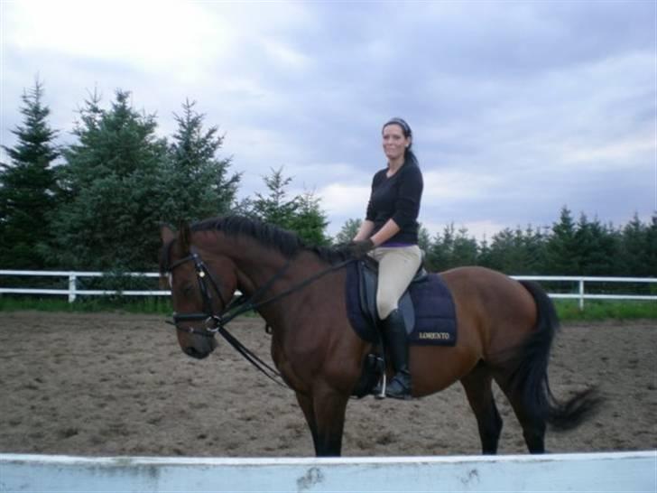 Dansk Varmblod Lorento - Da jeg var ude og prøve Lorento på langager billede 7