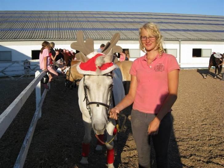 Islænder Fenja Fra Frijsbak - nissen taget på rytterlejr 2008 billede 18