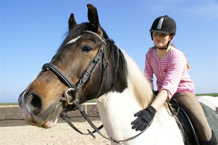 Anden særlig race  Thais'son *solgt* - smukke<3 billede 1