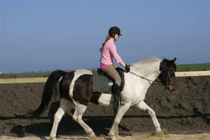 Anden særlig race  Thais'son *solgt* - igen =D billede 4