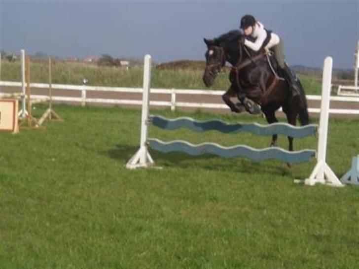 Oldenborg Dumle - smukke Dumle <3 billede 1