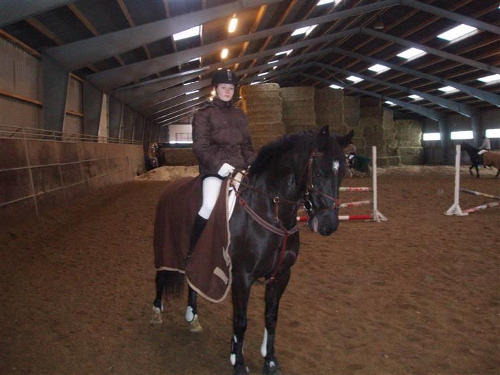 Oldenborg Dumle - til stævne i Thisted...<3 billede 4