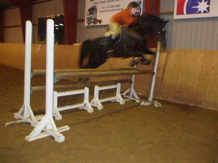 Oldenborg Dumle - undskyld kvali.! billede 8