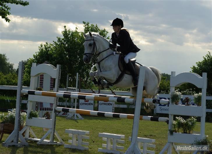 DSP STAR {b-pony} - SB i SPS . <33  foto; stine bach- tak :D billede 2