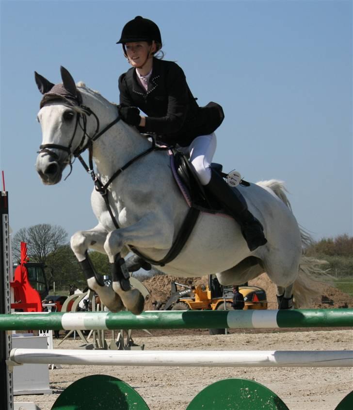 DSP STAR {b-pony} - MB i Middelfart :) billede 4