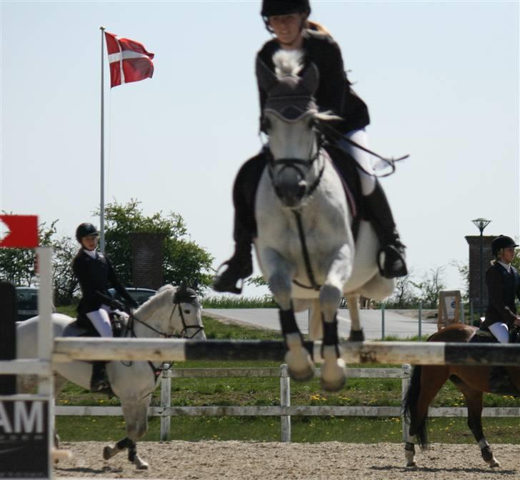 DSP STAR {b-pony} - Opvarmning i middelfart :) billede 5