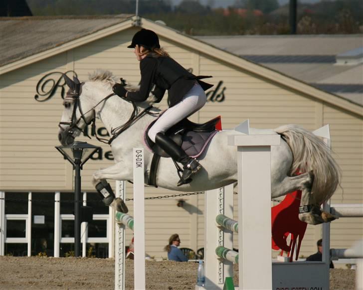 DSP STAR {b-pony} - MA i Middelfart :) billede 6