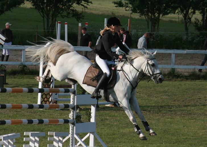 DSP STAR {b-pony} - Dejligstepony <3 billede 7