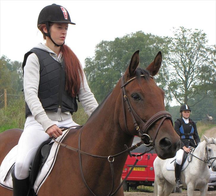 Anglo Araber (AA) Donna Van Vrå - springstævne d.12/9-10 billede 18