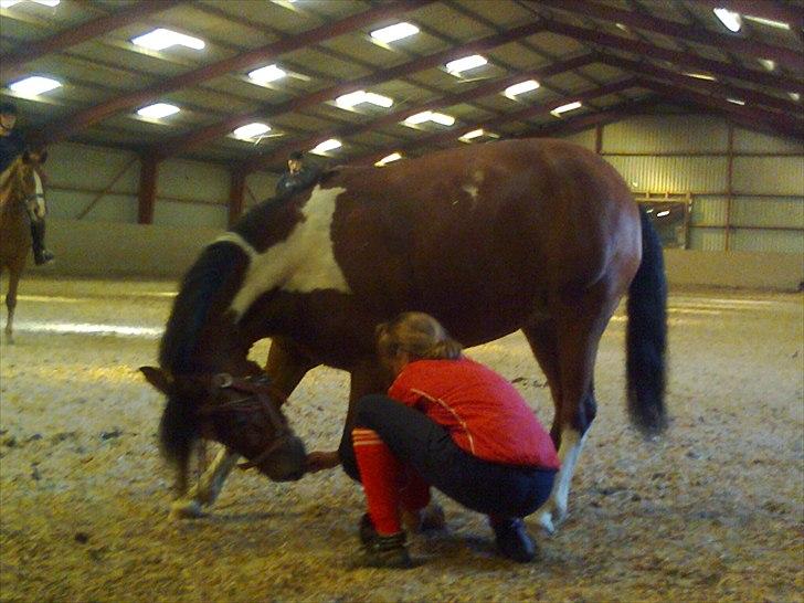 Anden særlig race Molly <3 *SAVN* - Vi øver at neje <3 billede 15