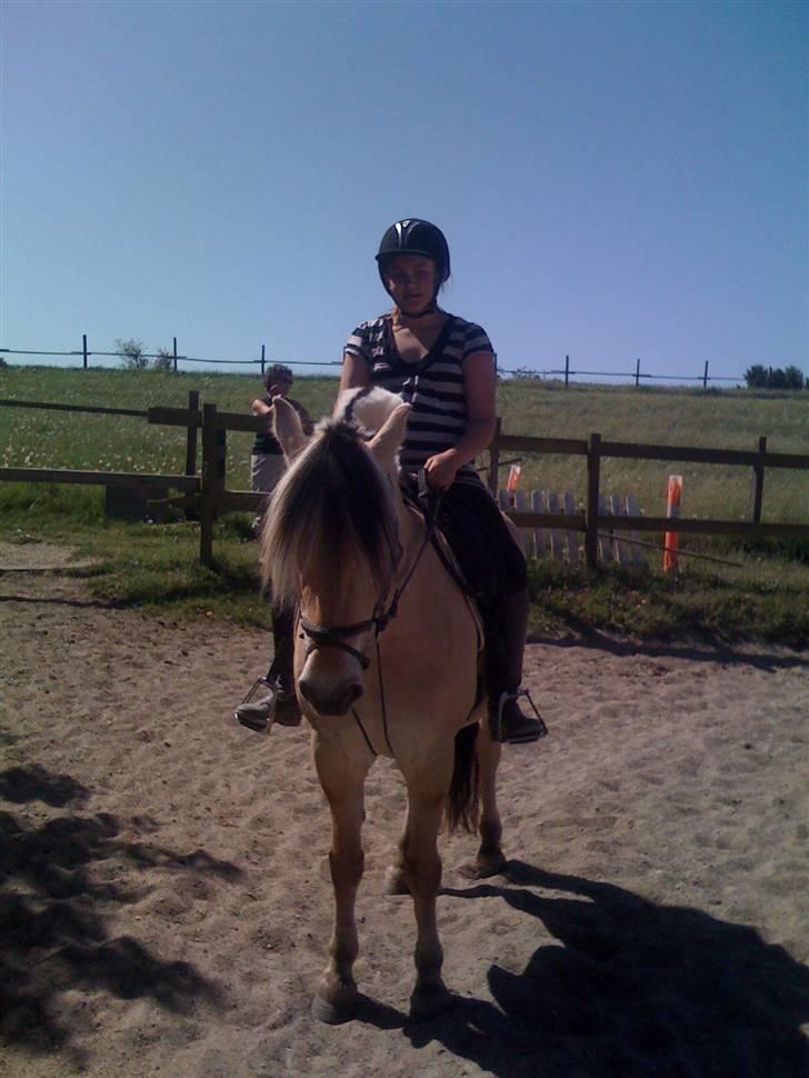 Fjordhest Columbine Bøgely - Columbine og Frederikke engang i maj eller juni. Taget af mig.    billede 4