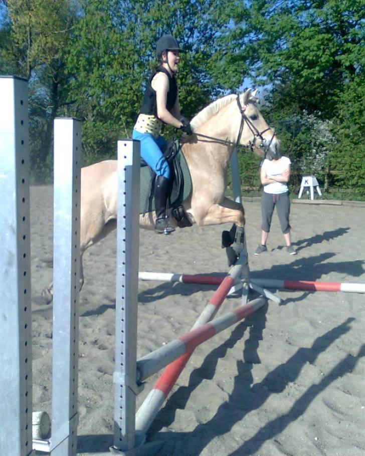 Fjordhest Columbine Bøgely - Jeg har det virkelig sjovt med dig Columbine ;). Springtræning 29/4. Taget af Frederikke.  billede 5