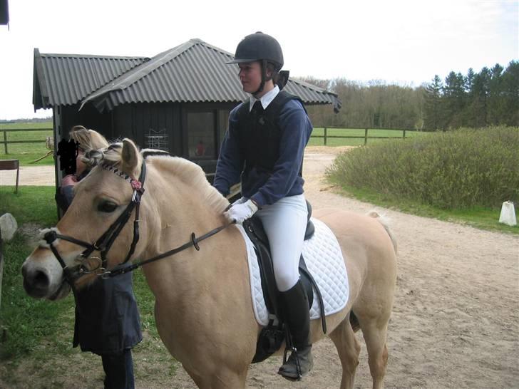 Fjordhest Columbine Bøgely - Inden vi skulle ind og springe vores runde. Til stævne på farasi 19.april 09. Taget af min mor.  billede 6