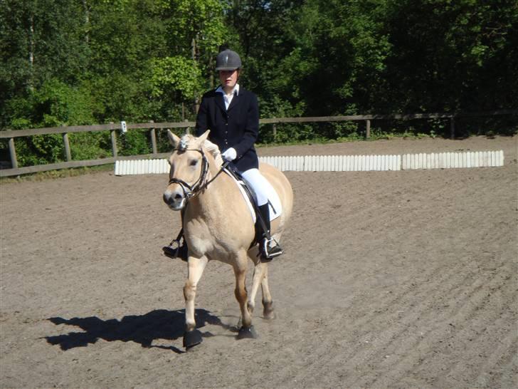 Fjordhest Columbine Bøgely - Columbine *& jeg til LC2 xD Okay jeg rider af lort, hun går ikke til biddet eller noget. Men der skal jo være andet end spring :)  billede 8