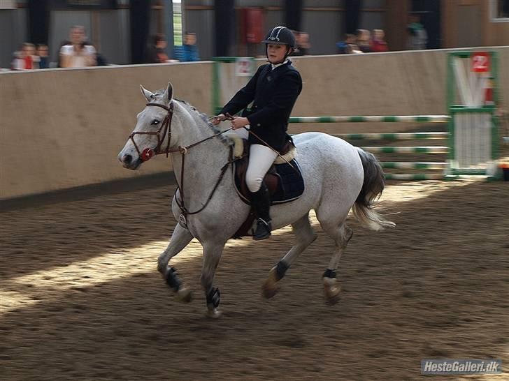 Connemara | Jenny'S Rocket  - Jenny<3 ;b Fuld fart frem! Foto: Ditlev :) billede 14