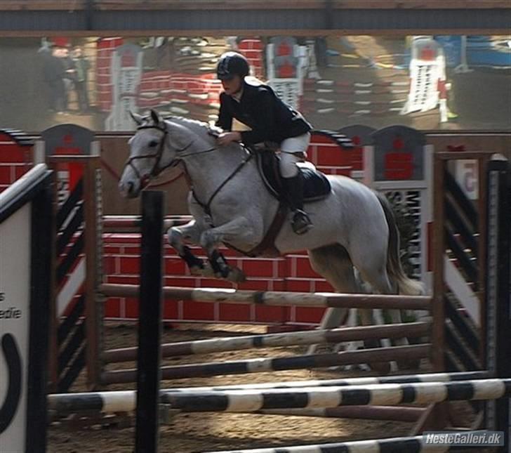 Connemara | Jenny'S Rocket  - HopHop ;) Foto: Ditlev ;) billede 15