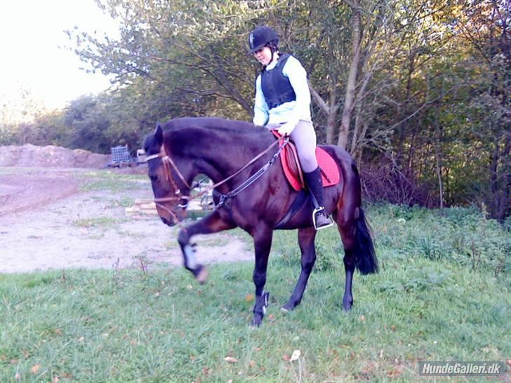 Traver Fame <3 Solgt. billede 10