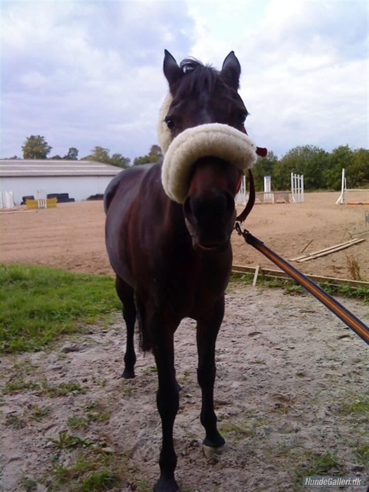 Traver Fame <3 Solgt. - Faaaaaaame xD billede 11