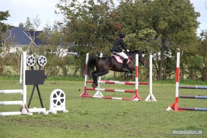 Traver Fame <3 Solgt. - Fame LB i Herslev. billede 12