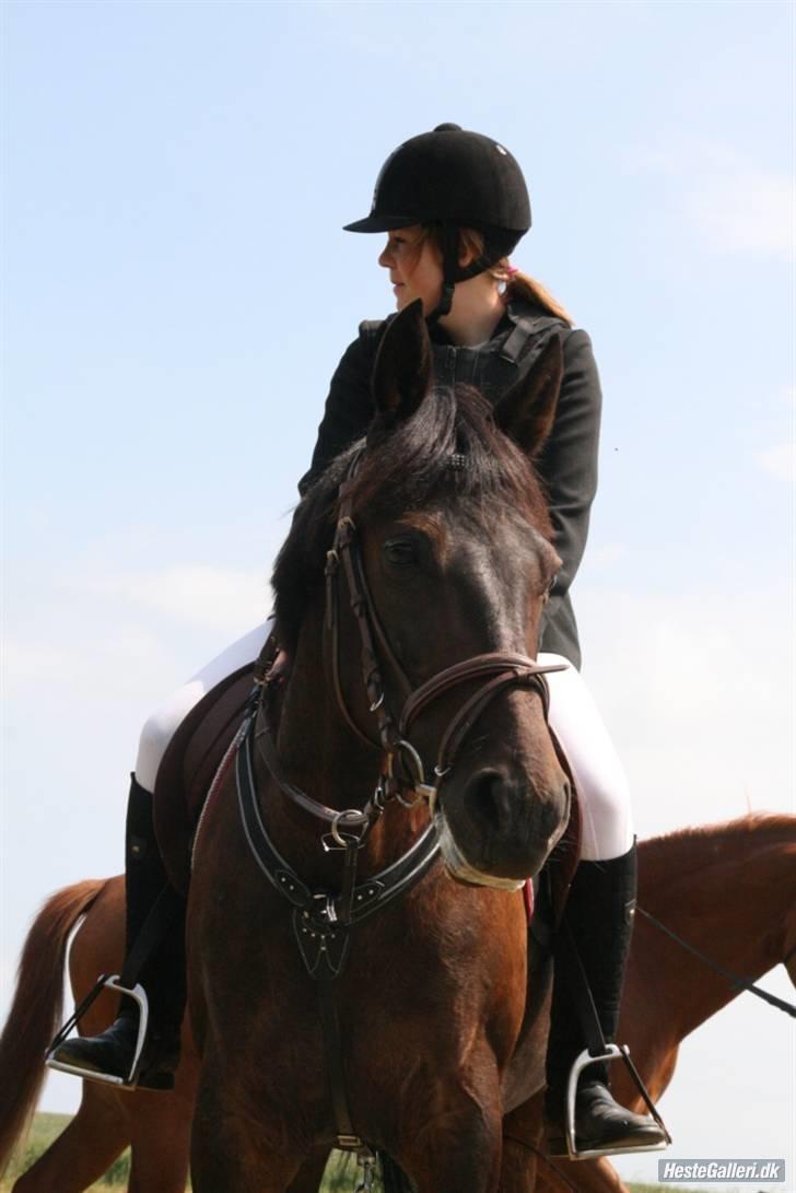 Traver Fame <3 Solgt. billede 13